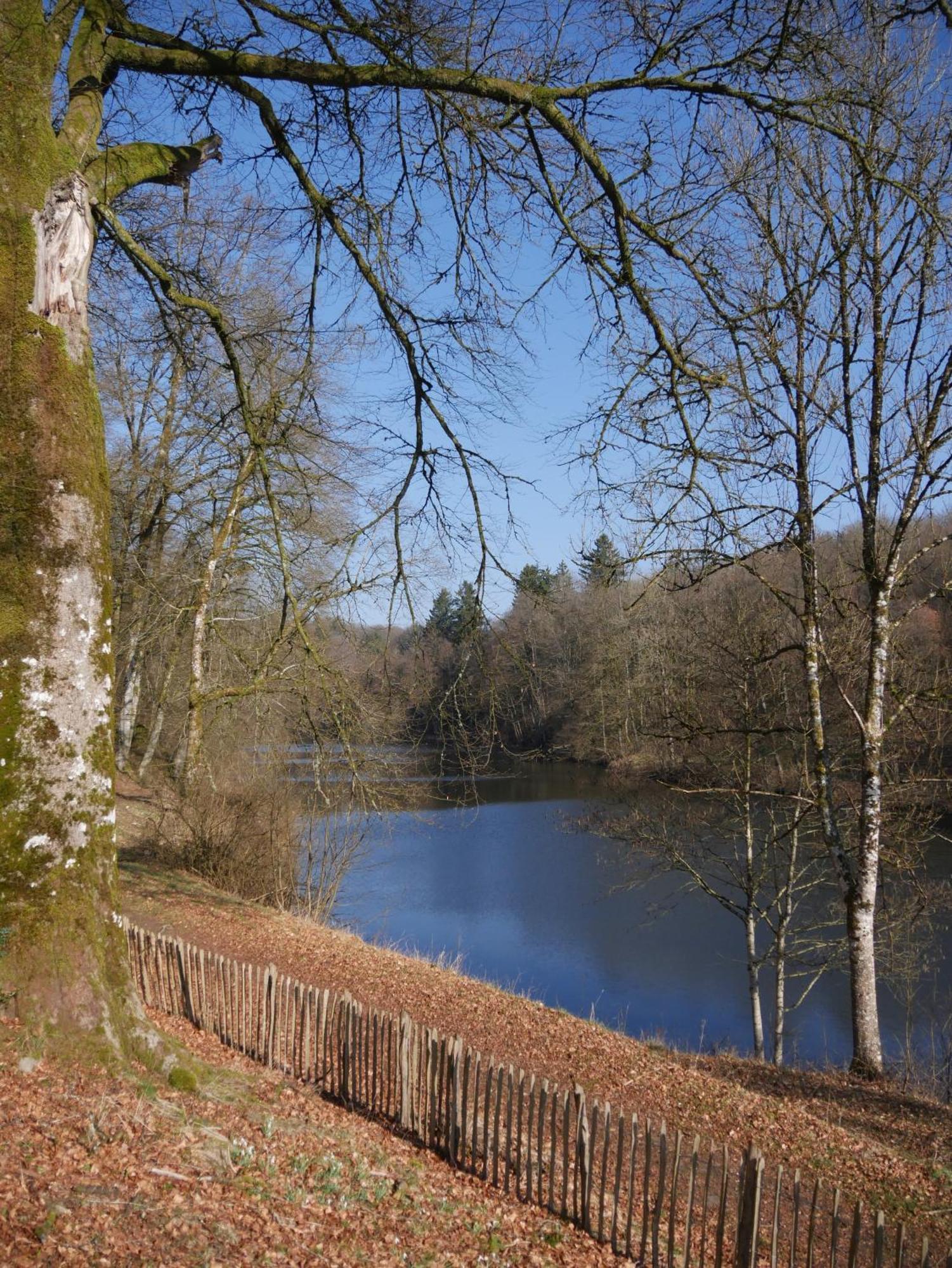 Chateau Du Pont D'Oye Habay-la-Neuve Bagian luar foto